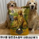 피너클 칠면조&amp;호박 내돈내산 강아지사료후기