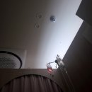 고롱고롱 이미지