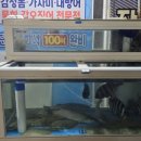 도시어부&미쓰물회 이미지