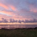 늘봄상회 이미지