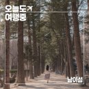 심리극 속 나를 찾는 여행 : 나를 또 다시 외치다 | 남이섬 당일치기 여행 | 짚와이어 입국부터 연잎밥 정식, 나만의 머그컵 만들기, 카페까지 총정리