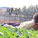 대도킨