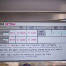 어메이징파크 티스토리