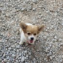 예림이네민박 이미지