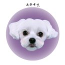 독플래닛 이미지