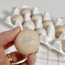 예지농장 이미지