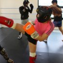 싸이코핏불스 이미지