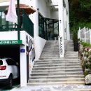 멍스타 | 담양애견동반펜션 담양 멍스타에서의 특별한 애견여행 후기