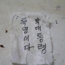 구량차리로 이미지