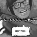 메이의 하루