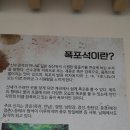 석전수석 이미지