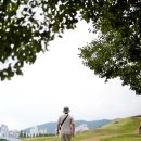 대성동고분박물관 | 김해 실내 가볼만한곳 대성동 고분박물관 무료 여행지