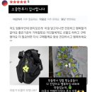 뜨밍
