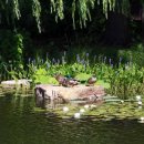 들꽃가든 이미지