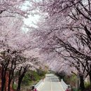 합천 씨파크 이미지