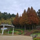 반룡산공원 이미지