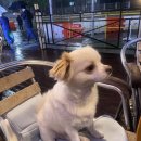 치어스인창점 이미지