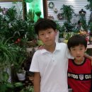 갈마초교병설 이미지