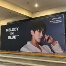 하트 멜로디(Heart Melody) | 250329 박강현 단독 콘서트 MELODY IN BLUE ep.2 첫공 후기 | 세종대학교 대양홀 1층 다구역 M열 시야...