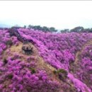 지수네 민박 이미지