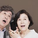 (주)스타키코리아 이미지