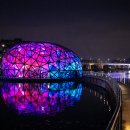 세종호수공원 야간 산책로 이미지