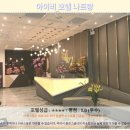 용호 Sea-Side 관광지 | 나트랑 아이비 호텔 후기: 가성비 끝판왕, 나짱 여행 숙소 추천