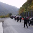 낙동정맥 제25구간 배내고개 ~ 순지리 35번도로 이미지