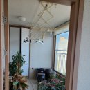 강릉 햇빛 공인중개사사무소 이미지