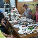 일권농장 Daum카페