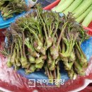 삼척번개시장 이미지