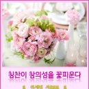 왕대박시스템 이미지