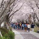 낙동강변6 이미지