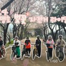 맹호태권도장 이미지