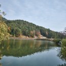 남해-310 이미지