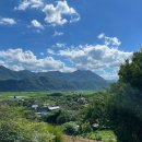 파도길 65 이미지