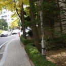 서광약국 이미지