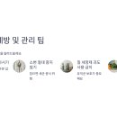 소태실천 이미지