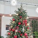 무궁화세탁소 이미지