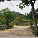조선전경도 Daum카페