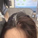 수나미용실 - 원주시 | 대전 복수동 온채움, 자극 없는 천연 두피케어로 힐링하고 온 솔직 후기!