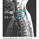 무일체육관 이미지
