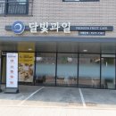 달빛과일화성