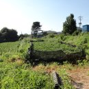 양지바른공인중개사사무소 이미지