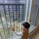 금빛 | 수원아파트유리창문청소 금빛 온 케어 후기