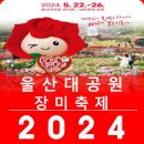 윤정story | 2024년 울산대공원 장미축제 사전정보 +(23년 관람후기 이용안내 박정현 박상민 윤정 조성모 정인 김필)