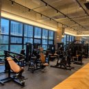 용죽4로 이미지