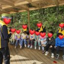 양지할아버지 이미지