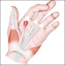 충북수지 이미지