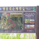 사환경로당 티스토리